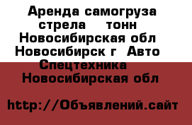 Аренда самогруза стрела 12 тонн - Новосибирская обл., Новосибирск г. Авто » Спецтехника   . Новосибирская обл.